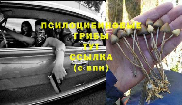 винт Володарск