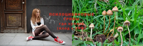 винт Володарск